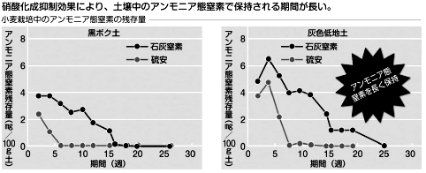 図2-3　小麦栽培期間中のアンモニア態窒素残存量